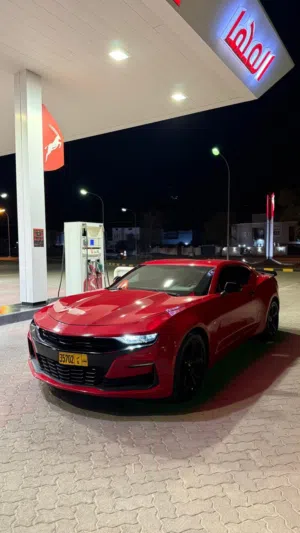 Used Chevrolet Camaro in Muscat