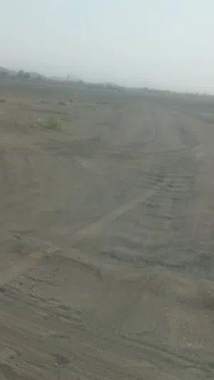 مطلوب جعد مع فحلهن