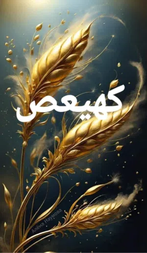 محمود 