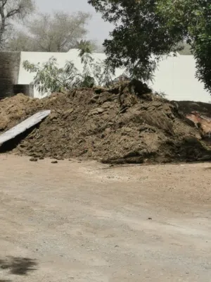 سماد اغنام للبيع