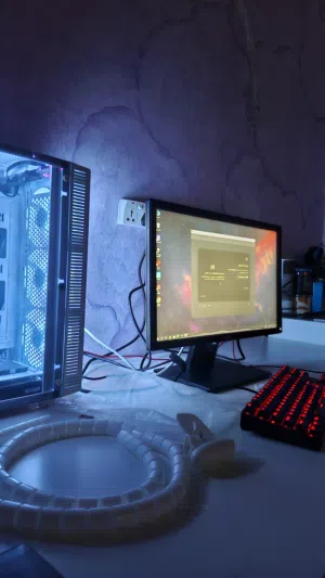 Gaming PC.