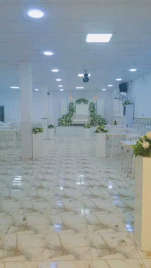 كراسي وميوزه تصفيه قاعه الكرسي ولميزه على