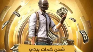 شحن شدات ببجي.