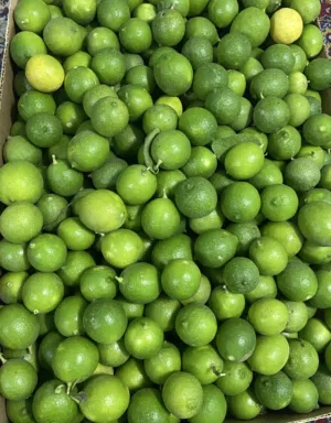 ليمون للبيع