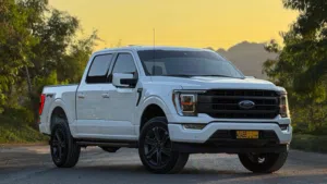 Used Ford F-150 in Al Dakhiliya