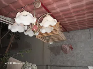 اتات مستعمل للبيع