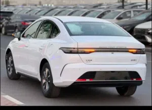 BYD DESTROYER 05 WITH SUNROOF (FOR EXPORT ONLY)