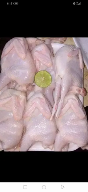 Meat0