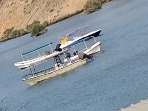 للبيع او للبدل بيخت