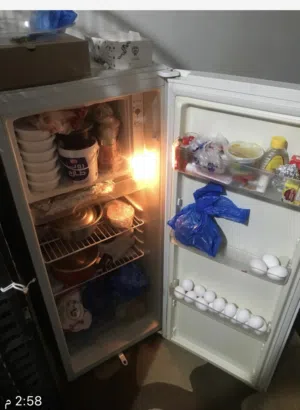 الجدين فقط  خيطان