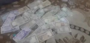 للبيع مجموعة متنوعة ممتازة للهواة المبتدئين