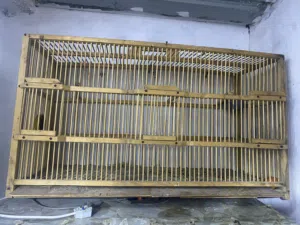 قفص البيع جبير مال تزاوج البلابل