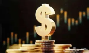 أهلنا في الكويت خدمات شراء من السعودية