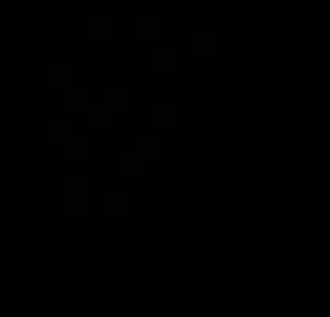vsccxs 