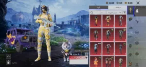 حساب ببجي للبيع