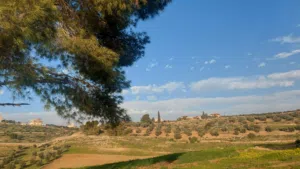 Farm Land for Sale in Salt Seehan