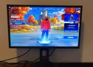 Gaming Monitors (read description)
