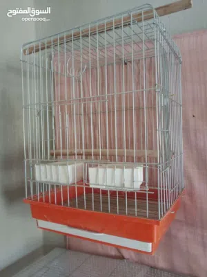قفص للبيع ببغاء