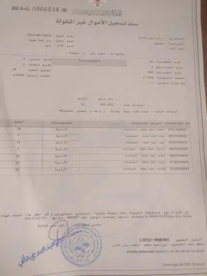 أرض للبيع في القصفه مشجرات زيتون بالكامل وداخل التنظيم وصالحه للاسكان