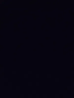 نبي كوكتيل أو بركديلو السعر من60الي75