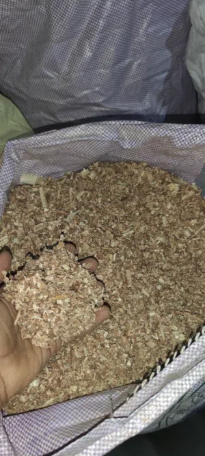 نشارة خشب جاهزه