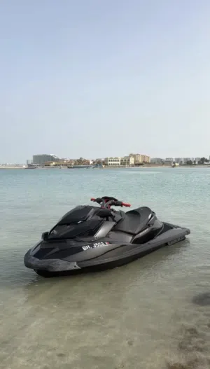 Seadoo RXP-260