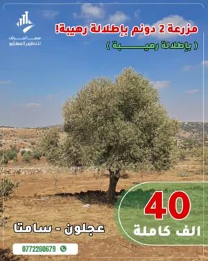 Farm Land for Sale in Ajloun A'fna