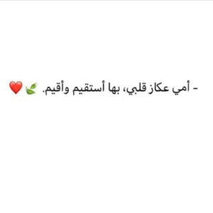 مصطفى عباس