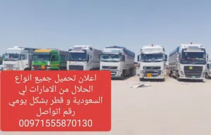 اعلان تحميل جميع انواع الحلال من الامارات لي السعودية و قطر بشكل يومي