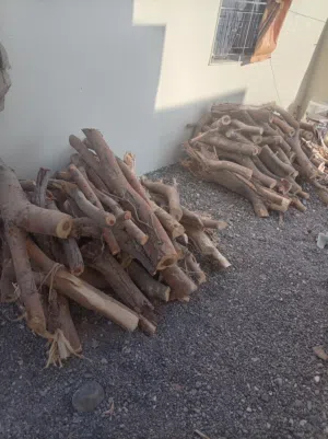 حطب سمر للبيع بسعر مناسب الحطب زين مقطع وجاهز