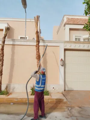 بوكات في الرياض ديانة قلاب في الرياض بوكات ردم قواعد ردم ميد ازالة الصدأ عن الحديد بالرمل تخشين أعمد