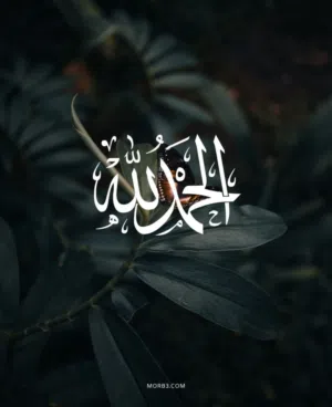 تسويق عقاري 