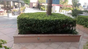 garden working