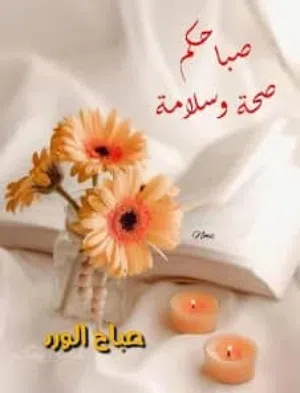 الاروكيد 