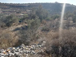 الأرض للبيع