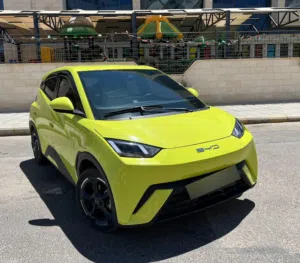 Used BYD Seagull in Amman