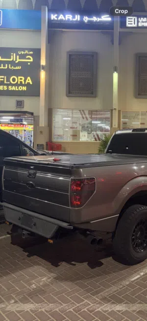 Ford F-150 off-road Rear Bumper + Front grille with LED lights (2009-2014)