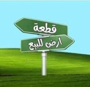 نصف قطعه في التنومه الصالحيه بين شارع الصالحيه الداخلي والشلامجه طابو زراعي سند25 مساحتها 100مترمربع