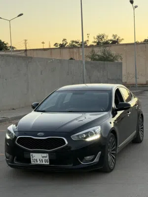 كادينزا 2014