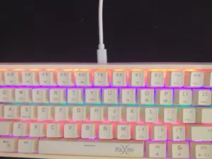 كيبورد فوكس رأي رد سويتش