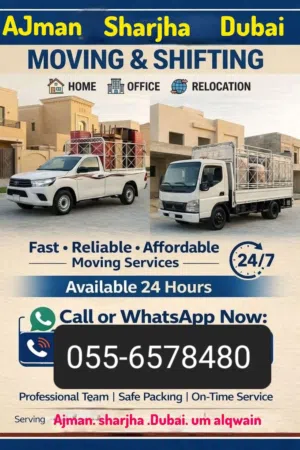 sofa delivery movers