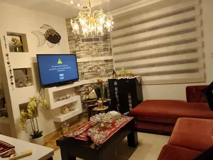 ‏سكنية ‏.‏ سنوي ‏.‏ 250 م٢‏3