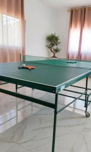 طاولة تنس بينج بونج