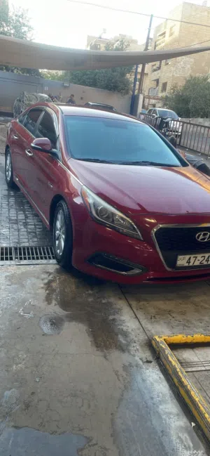 Used Hyundai Sonata in Amman
