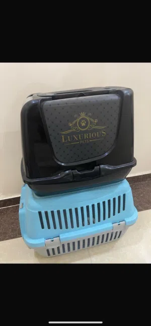 اكسسوارات القطط