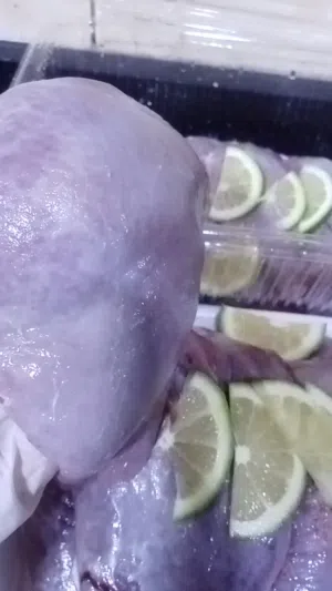 كرشات وفوارغ وروس ودوالي