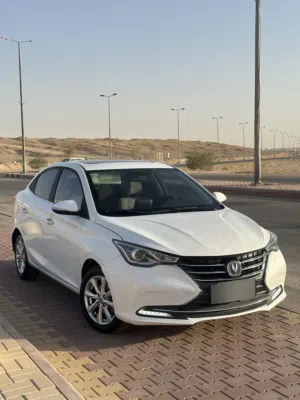 Well-maintained car