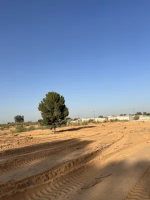 ارض للبيع في وادي الربيع داخل مقسم 3000 متر شروط البيع من 1000متر فما فوق سعر المتر على75 دينار