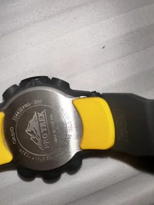 PR0 TREK Casio PRG-300