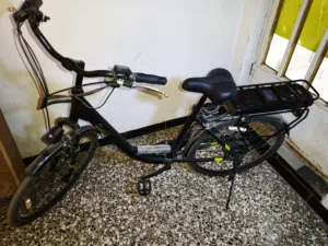 Electric Bike